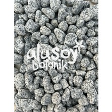 Ulusoy Botanik Benekli Dolomit Taş / Granit Taşı / Dekoratif Siyah-Beyaz Taş / 1-2 cm / 5 kg
