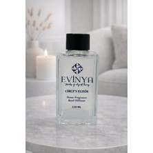 Evinya Cırce's Elıxır 120 ml Bambu Çubuklu Oda Kokusu – Büyüleyici & Kalıcı Lüks Ortam Kokusu