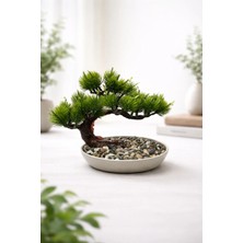 Lineva Dekoratif Tabakta Bonsai Ağacı – Ev & Ofis Masa / Raf Dekoru
