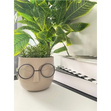 Lineva Dekoratif Gözlüklü Profesör Çim Adam Yapay Çiçek 1 Adet