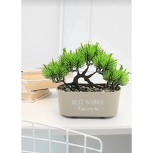 Lineva Best Wıshes Yazılı Doğal Taşlı Yapay Ağaç