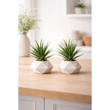 Lineva 2 Adet Beton Saksıda Yeşil Yapay Kaktüs Aloevera