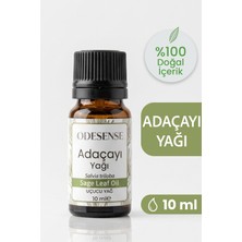 Odesense Adaçayı Uçucu Yağı 10 ml Doğal ve Saf İçerik Damlalıklı Kapaklı Şişe Katkısız