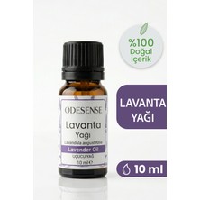 Odesense Tıbbi Lavanta Uçucu Yağı 10 ml Doğal ve Saf İçerik Damlalıklı Kapaklı Şişe Katkısız