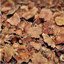 Banum Luxury Çaltı Dikeni (Çarkıfelek Otu) 1kg