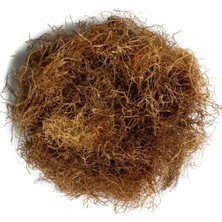 Banum Luxury Mısır Püskülü-Zea Mays 500GR