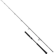 Shimano Game Type Jigging 178CM 250GR 1+1pc Jig Kamışı
