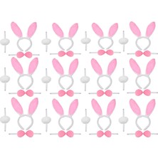 Skygo Pembe Tşan Kostüm Seti – Taç Ponpon Kuyruk 12 Li Paket