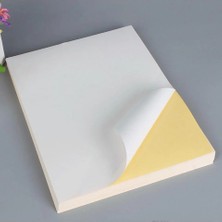 Derya Eagle 105X70MM Laser/lazer A4 Kendinden Yapışkanlı Etiket Not Noki