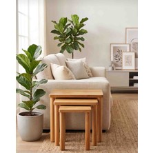 Ağaç Natürel 3 Lü Zigon Sehpa