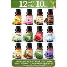 Exocare 12'li Set2 Esansiyel Uçucu Yağı Buhurdanlık Difüzör Oda Parfümü 12 Adet 10 ml Renkli