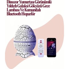 Melike Bakar Boutique Uzaktan Kumandalı, USB Girişli, Döner Projektör Lamba