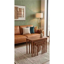 Ceviz 1 Sınıf Mdf Lake Boya Gürgen Ağaç 4 Lü Zigon Sehpa