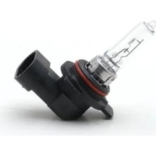 Esranın Dünyası Halojen Ampul 12V 55W