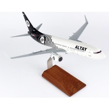 None 1/100 Altay Spor Logolu B737-800 Yolcu Uçağı Modeli