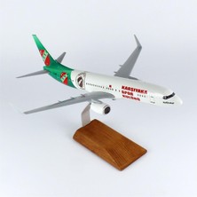None 1/100 Karşıyaka Spor Logolu B737-800 Yolcu Uçağı Modeli