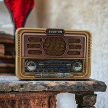 Skygo Nostaljik Görünümlü USB Sd Aux Bluetooth Destekli Şarjlı Radyo RT-671