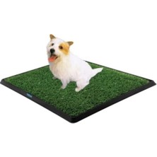 Popüler Sepet Köpek Tuvalet Eğitim Seti