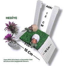 Salıncak Piramit Kaplumbağa Rampası Yeşil Zemin Askılı Model (Rampa 16X10 Askı 12CM)