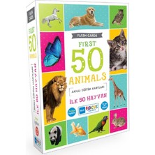 Blue Focus Ilk 50 Hayvan - Akıllı Eğitim Kartları
