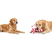 Sesli Baston Şeker Oyuncak