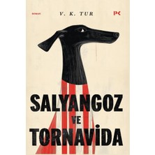 Salyangoz ve Tornavida