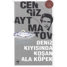 Deniz Kıyısında Koşan Ala Köpek