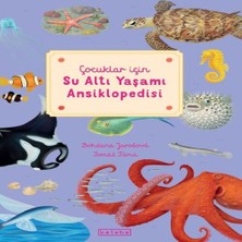 K-yonlineticaret Çuklar Için Su Altı Yaşamı Ansiklopedisi