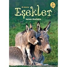 Ilk Okuma - Eşekler