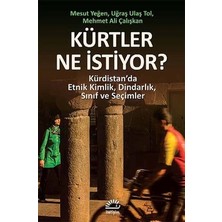 Kürtler Ne Istiyor?  Kürdistan’da Etnik Kimlik, Dindarlık, Sınıf ve Seçimler