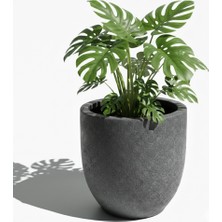 Hobi Tarım Beton Saksı 52X52X52CM