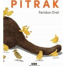 K-yonlineticaret Pıtrak