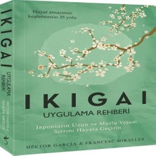 K-yonlineticaret Ikigai Uygulama Rehberi