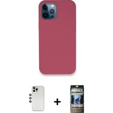 iPhone 12 Pro Zirve Modern Özel Seri - Siyah 34D Hayalet Izgaralı Cam + Gümüş Shine Kamera Lens