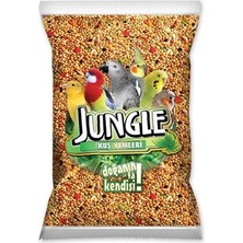 Jungle Muhabbet Kuşu Yemi 1 Kg – Sarı Beyaz Darı, Aspur, Nijer, Keten ve İç Yulaf Karışımı Ekonomik Paket