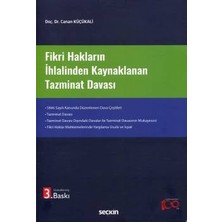  fikri hakların ıhlalinden kaynaklanan tazminat davası 3. baskı, nisan 2024