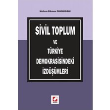  sivil toplum ve türkiye demokrasisindeki ızdüşümleri m. dikmen caniklioğlu 2007/01