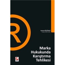 Seçkin Marka Hukukunda Karıştırma Tehlikesi Canan Küçükali 2009/05