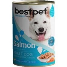 Bestpet Best Pet Somon Balıklı Köpek Konservesi