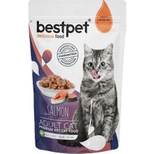 Bestpet Adult Jelly Somonlu Kedi Pouch Mama 85 gr