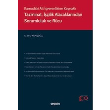  kamudaki alt ışverenlikten kaynaklı tazminat, ışçilik alacaklarından sorumluluk ve rücu o. memişoğlu 1 baskı temmuz 2024