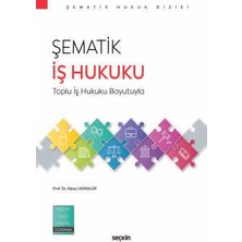  şematik ış hukuku toplu ış hukuku boyutuyla prof. dr. alpay hekimler 1. baskı, mart 2026