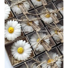 Candles Flame 25 Adet Kutulu Papatya Mum Hediyelik