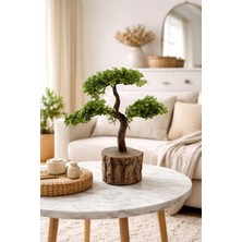 Lineva Doğal Kütük Üstü Yapay Bonsai Ağacı | Ev Ofis Masaüstü Dekoratif Ağaç