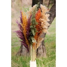 Alyones Kuru Çiçek Pampas 15 Adet 100 cm Boy Renkli Aksesuar Uzun Ömürlü