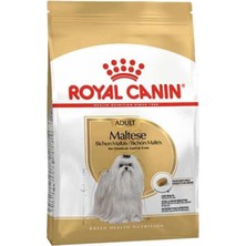 Royal Canin Maltese Terrier Biftekli Köpek Maması 1,5 kg Yetişkinler İçin Premium Beslenme