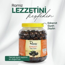 Edremit Tipi Iri Boy Az Tuzlu Akhisar Siyah Yuvarlama Zeytin 1,4 kg