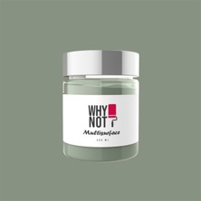Whynot Kendinden Vernikli Sage Multisurface Akrilik Boya Yeşil Renk ile Pratik Kullanım