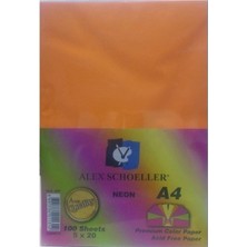 Esplendor Store Schoeller A.FTK.KGT.450.07 Fotokopi Kağıdı - Karışık Renkli