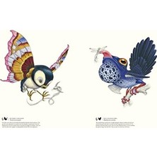 Esplendor Store Terra Ultima: The Discovery Of A New Continent